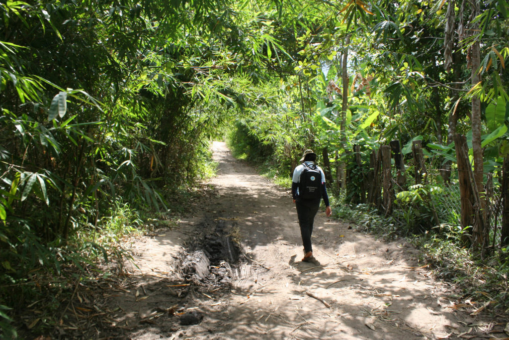 A volunteer malaria worker walks down a deeply rutted road, the forest making a green canopy overhead.