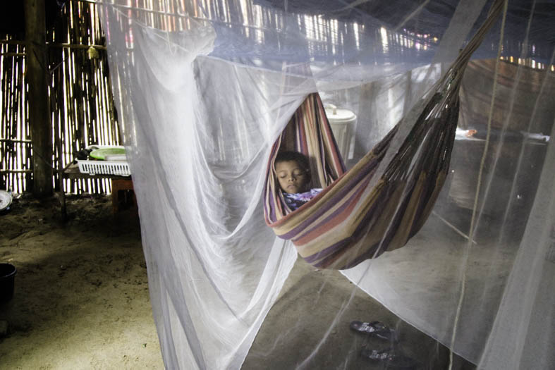 A boy's head pokes out of his hammock, which is draped with a mosquito net that reaches the floor.