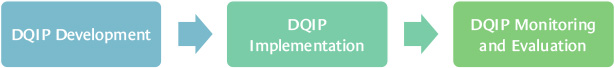 Process flowchart for Data Quality Improvement Plan (DQIP)