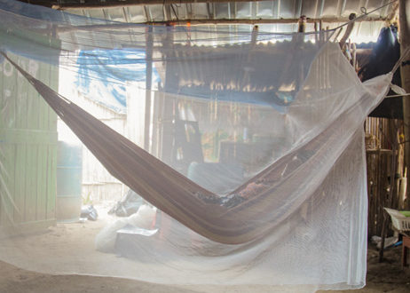 Bednets prevent malaria